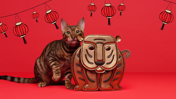 Kate Spade Lunar New Year Sale: Take an Extra 22% Off Handbags, Jewelry and Shoes